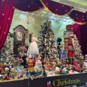 ヒメ日記 2025/12/17 23:50 投稿 なぎさ 電車ごっこ