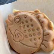 ヒメ日記 2026/01/13 23:50 投稿 なぎさ 電車ごっこ