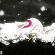 ヒメ日記 2026/01/23 21:21 投稿 なぎさ 電車ごっこ