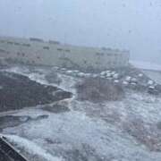 ヒメ日記 2026/02/08 11:50 投稿 なぎさ 電車ごっこ