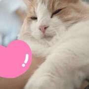 ヒメ日記 2026/02/22 21:20 投稿 なぎさ 電車ごっこ