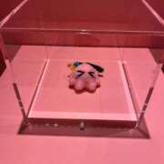 ヒメ日記 2026/03/18 23:50 投稿 なぎさ 電車ごっこ