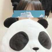 ヒメ日記 2026/03/20 09:20 投稿 なぎさ 電車ごっこ