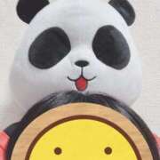 ヒメ日記 2026/03/21 11:20 投稿 なぎさ 電車ごっこ