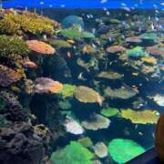 ヒメ日記 2026/03/22 23:57 投稿 なぎさ 電車ごっこ