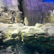 ヒメ日記 2026/03/24 23:59 投稿 なぎさ 電車ごっこ