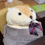 ヒメ日記 2026/03/27 14:40 投稿 なぎさ 電車ごっこ