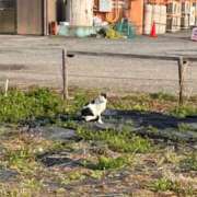 ヒメ日記 2026/03/28 12:24 投稿 なぎさ 電車ごっこ