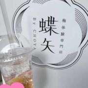 ヒメ日記 2026/04/13 14:20 投稿 なぎさ 電車ごっこ