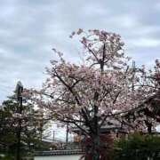 ヒメ日記 2026/04/17 13:30 投稿 なぎさ 電車ごっこ