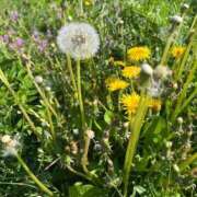 ヒメ日記 2026/04/19 13:27 投稿 なぎさ 電車ごっこ