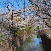 ヒメ日記 2026/04/03 12:44 投稿 ののか 丸妻 池袋店