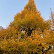 めと 近況報告🪄 コートダジュール