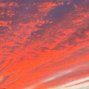 めと 食べちゃう❤️‍🔥 コートダジュール