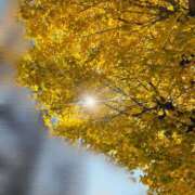 ヒメ日記 2025/12/07 12:00 投稿 めと コートダジュール