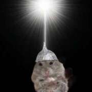 ヒメ日記 2026/04/09 10:27 投稿 もえ かりんと吉祥寺