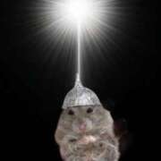 ヒメ日記 2026/04/09 10:33 投稿 もえ 吉祥寺 添い寝女子