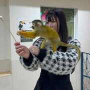 ヒメ日記 2025/11/15 11:22 投稿 しあ※Hな桃尻スレンダー清楚系 即イキ淫乱倶楽部 柏店