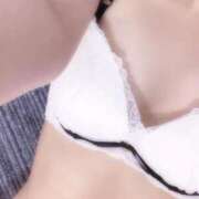 ヒメ日記 2025/11/12 23:48 投稿 ろく 静岡駅前ちゃんこ