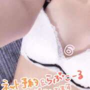 ヒメ日記 2025/11/14 00:08 投稿 ろく 静岡駅前ちゃんこ