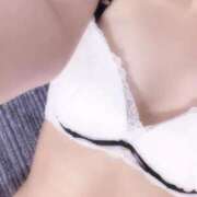 ヒメ日記 2025/11/16 00:16 投稿 ろく 静岡駅前ちゃんこ