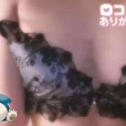 ヒメ日記 2025/11/17 12:18 投稿 ろく 静岡駅前ちゃんこ