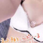 ヒメ日記 2025/11/18 22:16 投稿 ろく 静岡駅前ちゃんこ