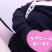 ヒメ日記 2025/11/26 10:15 投稿 ろく 静岡駅前ちゃんこ