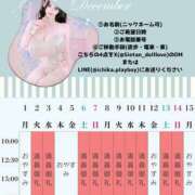 ヒメ日記 2025/12/02 09:01 投稿 萌木 Versailles