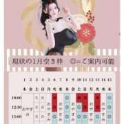 ヒメ日記 2025/12/08 11:01 投稿 萌木 Versailles