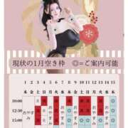 ヒメ日記 2025/12/13 09:21 投稿 萌木 Versailles