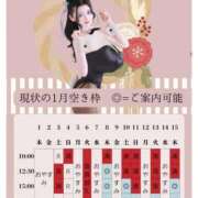 ヒメ日記 2025/12/15 18:41 投稿 萌木 Versailles