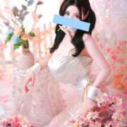 ヒメ日記 2025/12/16 23:51 投稿 萌木 Versailles