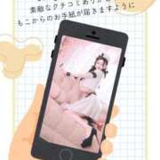 ヒメ日記 2026/03/26 10:02 投稿 萌木 Versailles