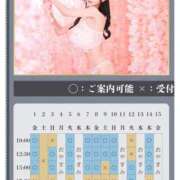 ヒメ日記 2026/04/14 07:10 投稿 萌木 Versailles