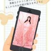 ヒメ日記 2026/04/14 07:25 投稿 萌木 Versailles