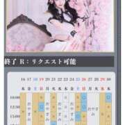 ヒメ日記 2026/04/17 15:21 投稿 萌木 Versailles