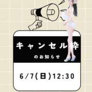 ヒメ日記 2026/06/06 14:41 投稿 萌木 Versailles