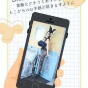 ヒメ日記 2026/07/14 22:54 投稿 萌木 Versailles
