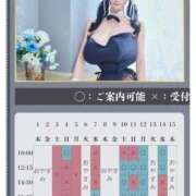 ヒメ日記 2026/09/06 09:59 投稿 萌木 Versailles