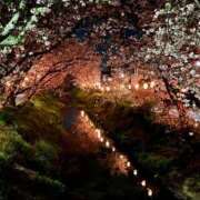 ヒメ日記 2026/04/07 09:51 投稿 田咲みふゆ 全裸コレクション or 妄想痴漢電車