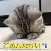 ヒメ日記 2025/11/20 15:37 投稿 つばき★(爆乳Mカップ) ぽっちゃり女神 あぷろでぃーて