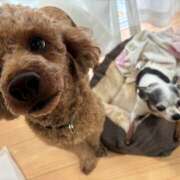 ゆな 退勤！！ mu-mii神田店（ムーミー神田店）