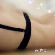 ヒメ日記 2025/11/10 08:38 投稿 みやこ トマトなび