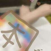 ヒメ日記 2025/11/12 19:01 投稿 みやこ トマトなび