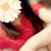 ヒメ日記 2025/12/10 20:07 投稿 みやこ トマトなび