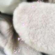 ヒメ日記 2025/12/14 13:01 投稿 みやこ トマトなび