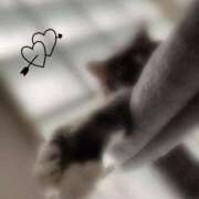 ヒメ日記 2025/12/20 17:00 投稿 みやこ トマトなび