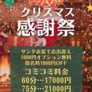 ヒメ日記 2025/12/23 08:01 投稿 みやこ トマトなび