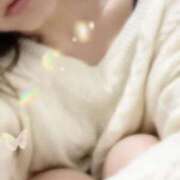 ヒメ日記 2025/12/29 15:30 投稿 みやこ トマトなび